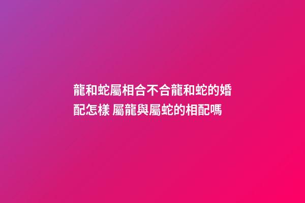 龍和蛇屬相合不合龍和蛇的婚配怎樣 屬龍與屬蛇的相配嗎-第1張-觀點(diǎn)-玄機(jī)派